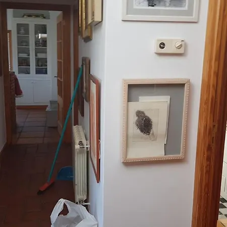 Atico Playa Fontaina *